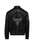 Jeff Hamilton chicago bulls varsity bomber jacket
